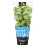 Vershky ta Korintsi Green Basil 50g