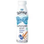 Galychyna Bilberry-Cereals Flavored Yogurt 2.2% 300g