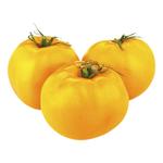 Yellow Tomato